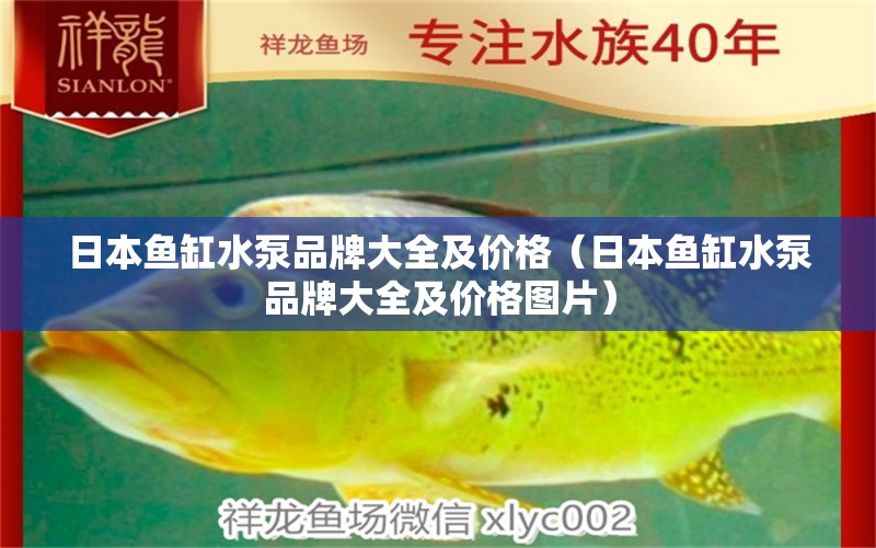 日本魚缸水泵品牌大全及價(jià)格（日本魚缸水泵品牌大全及價(jià)格圖片） 魚缸水泵