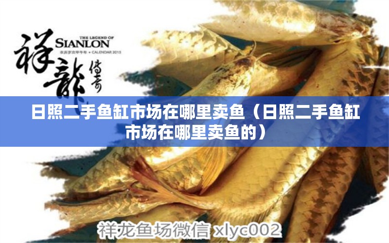 日照二手魚缸市場在哪里賣魚（日照二手魚缸市場在哪里賣魚的）