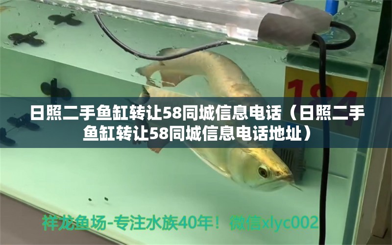 日照二手魚缸轉(zhuǎn)讓58同城信息電話（日照二手魚缸轉(zhuǎn)讓58同城信息電話地址） 水族展會(huì)