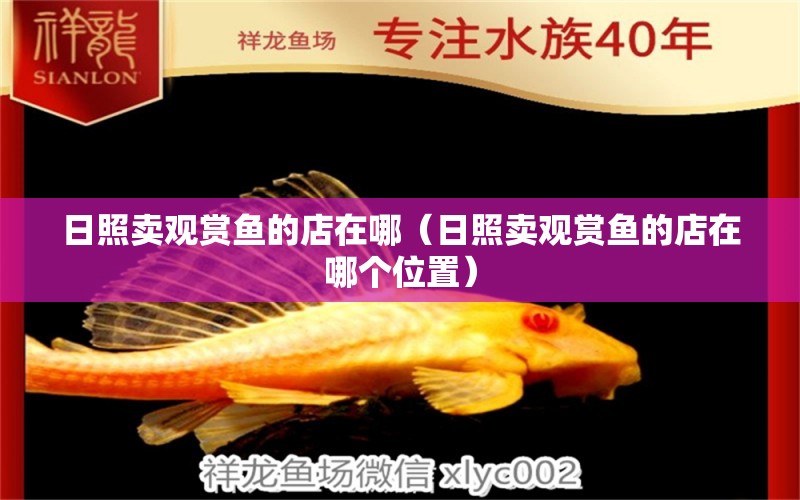 日照賣觀賞魚的店在哪（日照賣觀賞魚的店在哪個位置） 量子養(yǎng)魚技術