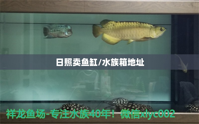 日照賣魚缸/水族箱地址 魚缸/水族箱