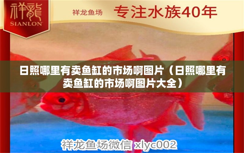 日照哪里有賣魚缸的市場(chǎng)啊圖片（日照哪里有賣魚缸的市場(chǎng)啊圖片大全）