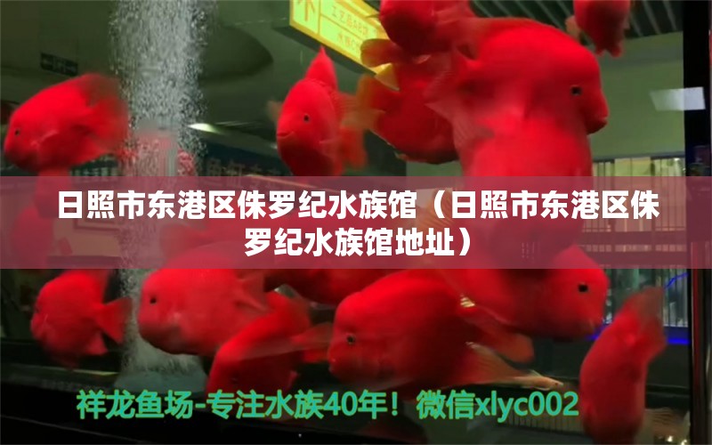 日照市東港區(qū)侏羅紀(jì)水族館（日照市東港區(qū)侏羅紀(jì)水族館地址）