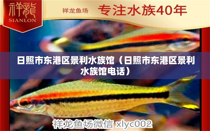 日照市東港區(qū)景利水族館（日照市東港區(qū)景利水族館電話） 全國水族館企業(yè)名錄