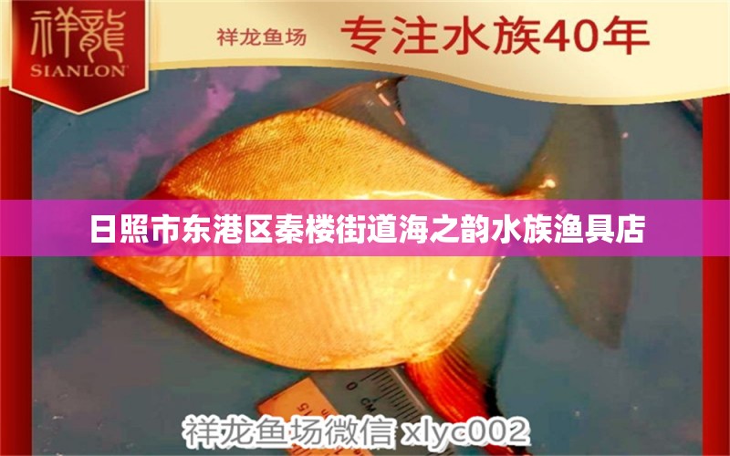 日照市東港區(qū)秦樓街道海之韻水族漁具店 全國水族館企業(yè)名錄