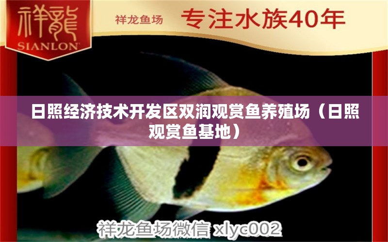 日照經(jīng)濟技術(shù)開發(fā)區(qū)雙潤觀賞魚養(yǎng)殖場（日照觀賞魚基地）