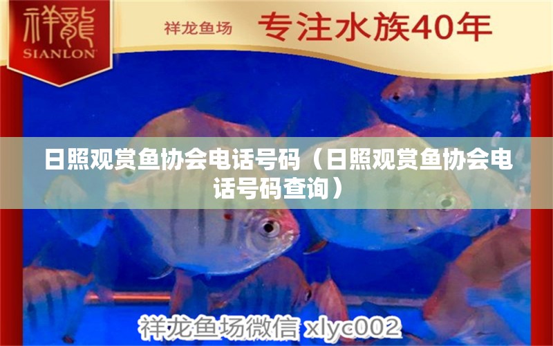 日照觀賞魚(yú)協(xié)會(huì)電話號(hào)碼（日照觀賞魚(yú)協(xié)會(huì)電話號(hào)碼查詢）