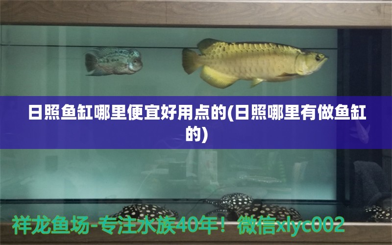 日照魚缸哪里便宜好用點的(日照哪里有做魚缸的) 慈雕魚