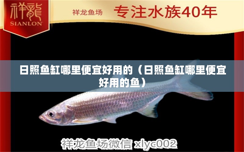 日照魚缸哪里便宜好用的（日照魚缸哪里便宜好用的魚）