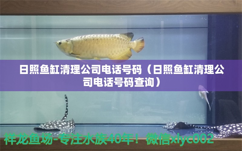 日照魚缸清理公司電話號碼（日照魚缸清理公司電話號碼查詢）