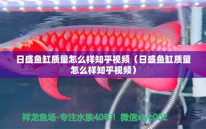 日盛魚缸質(zhì)量怎么樣知乎視頻（日盛魚缸質(zhì)量怎么樣知乎視頻）