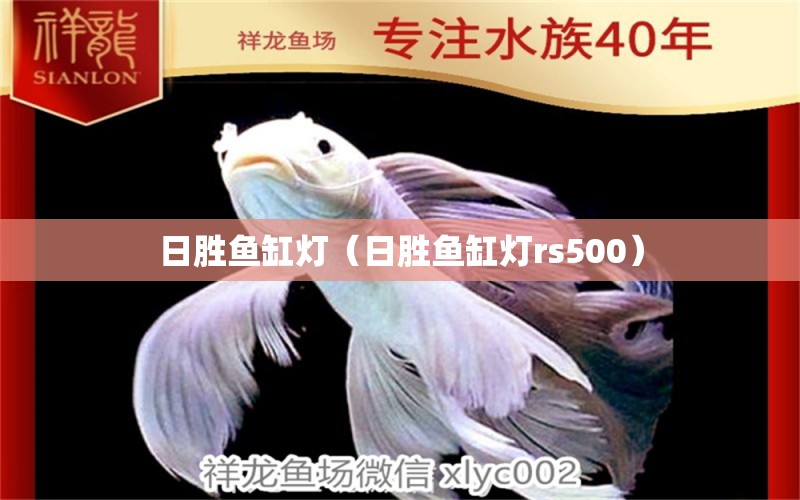 日勝魚缸燈（日勝魚缸燈rs500）