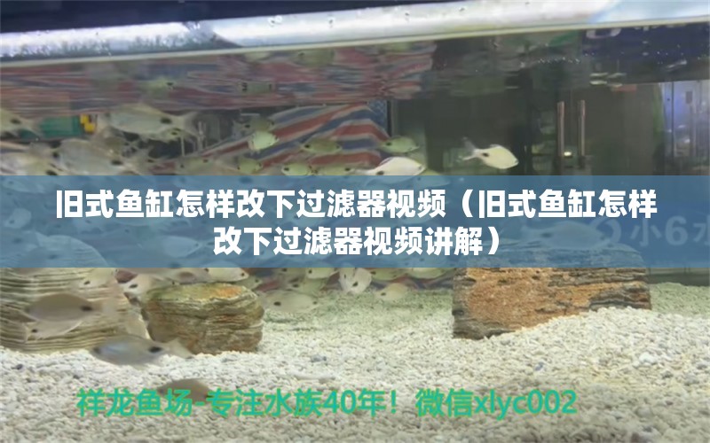 舊式魚缸怎樣改下過濾器視頻（舊式魚缸怎樣改下過濾器視頻講解） 蘇虎