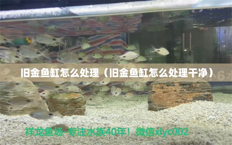 舊金魚(yú)缸怎么處理（舊金魚(yú)缸怎么處理干凈） 觀賞魚(yú)進(jìn)出口