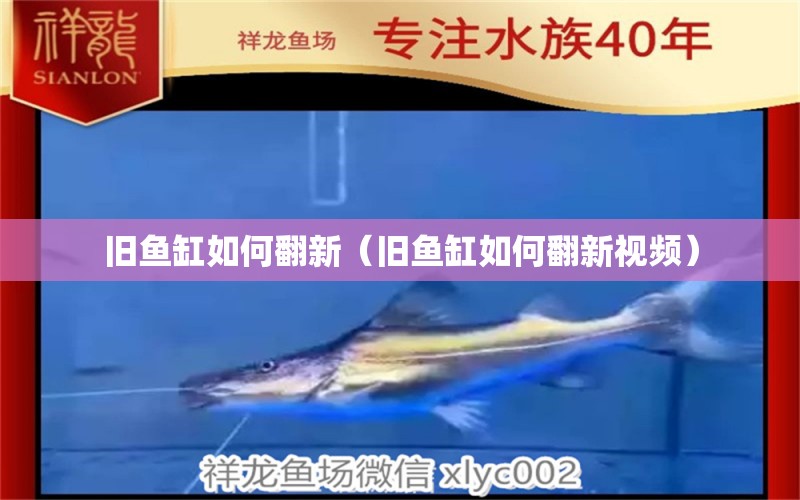 舊魚缸如何翻新（舊魚缸如何翻新視頻） 祥龍水族醫(yī)院