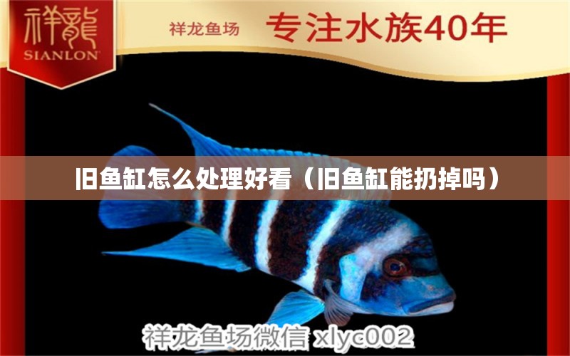 舊魚缸怎么處理好看（舊魚缸能扔掉嗎） 金頭過背金龍魚