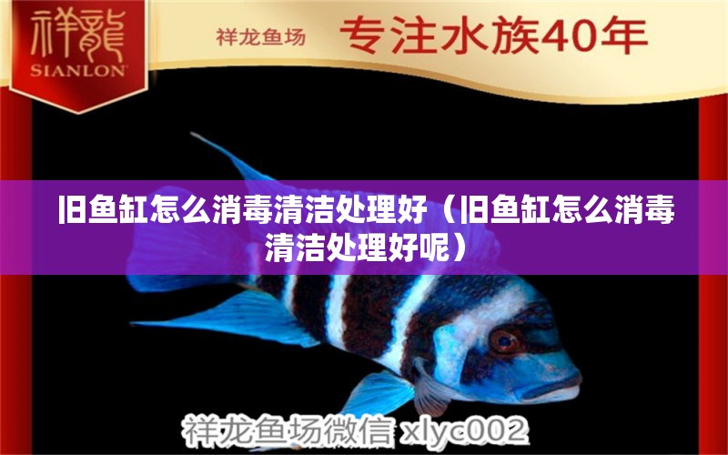 舊魚缸怎么消毒清潔處理好（舊魚缸怎么消毒清潔處理好呢）