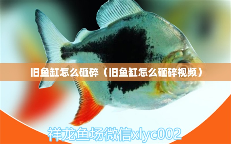 舊魚缸怎么砸碎（舊魚缸怎么砸碎視頻）