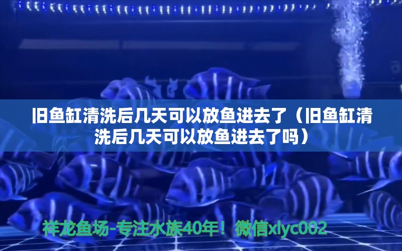 舊魚缸清洗后幾天可以放魚進去了（舊魚缸清洗后幾天可以放魚進去了嗎）