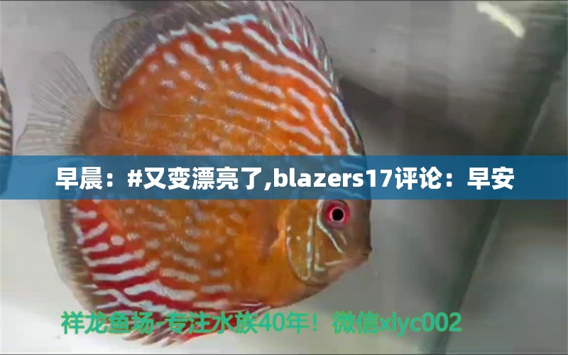 早晨：#又變漂亮了,blazers17評論：早安 觀賞魚論壇 第2張