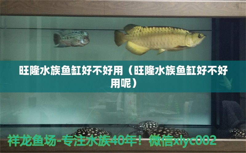 旺隆水族魚缸好不好用（旺隆水族魚缸好不好用呢）