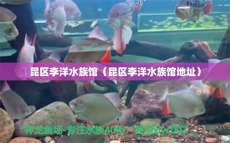 昆區(qū)李洋水族館（昆區(qū)李洋水族館地址）