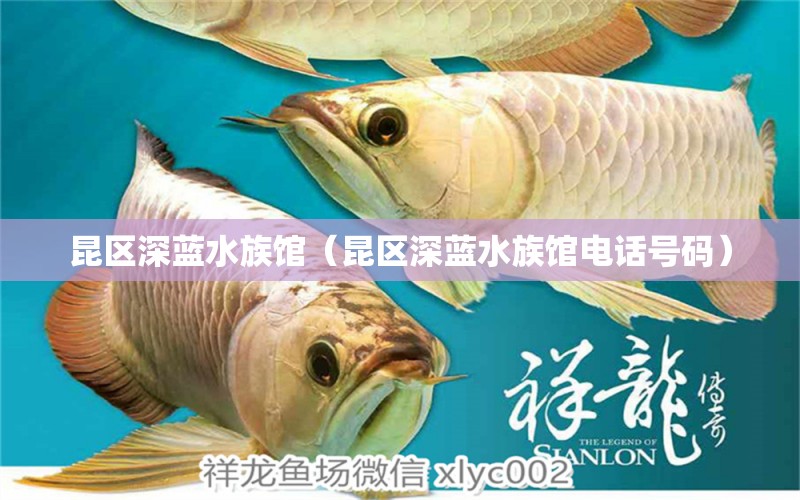 昆區(qū)深藍(lán)水族館（昆區(qū)深藍(lán)水族館電話號(hào)碼）