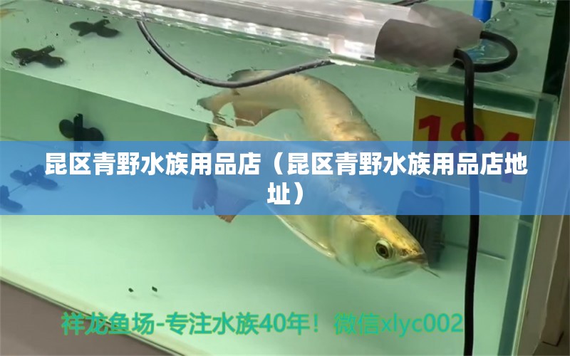 昆區(qū)青野水族用品店（昆區(qū)青野水族用品店地址） 水族用品