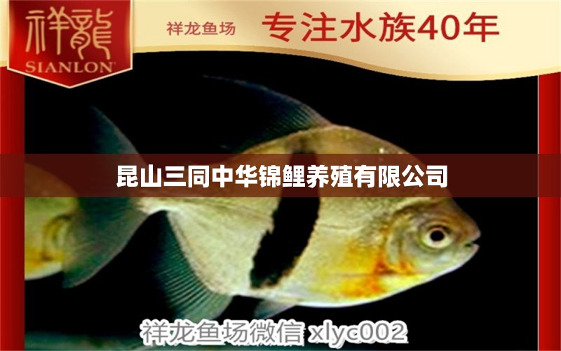 昆山三同中華錦鯉養(yǎng)殖有限公司 全國水族館企業(yè)名錄