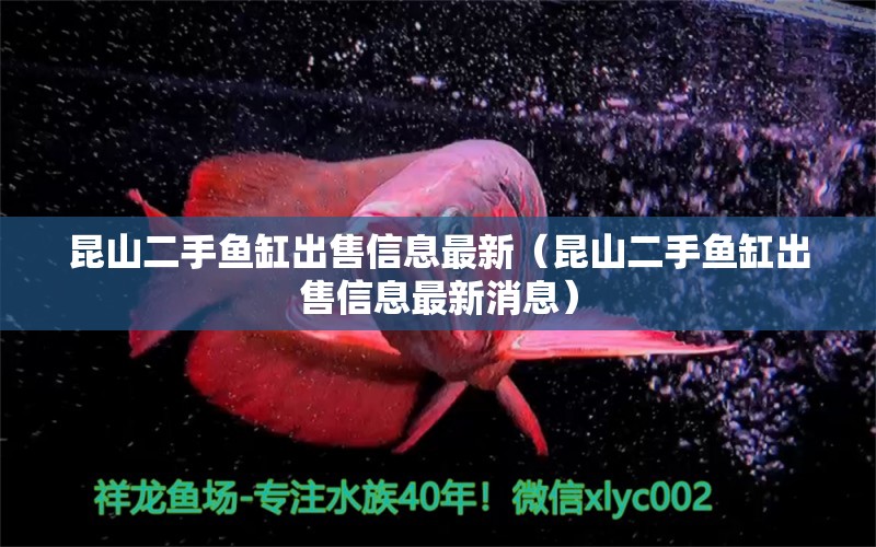 昆山二手魚缸出售信息最新（昆山二手魚缸出售信息最新消息） 黃金斑馬魚