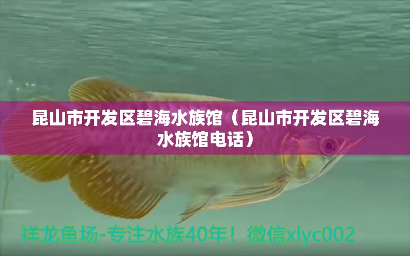 昆山市開(kāi)發(fā)區(qū)碧海水族館（昆山市開(kāi)發(fā)區(qū)碧海水族館電話）