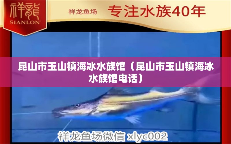 昆山市玉山鎮(zhèn)海冰水族館（昆山市玉山鎮(zhèn)海冰水族館電話） 全國水族館企業(yè)名錄