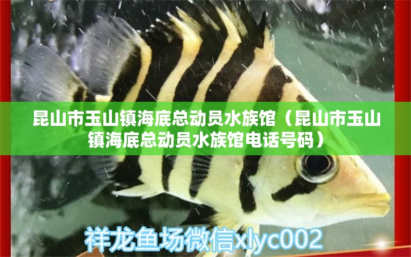 昆山市玉山鎮(zhèn)海底總動(dòng)員水族館（昆山市玉山鎮(zhèn)海底總動(dòng)員水族館電話號(hào)碼）