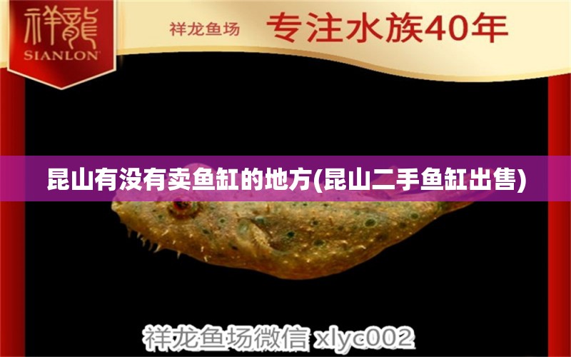 昆山有沒有賣魚缸的地方(昆山二手魚缸出售)