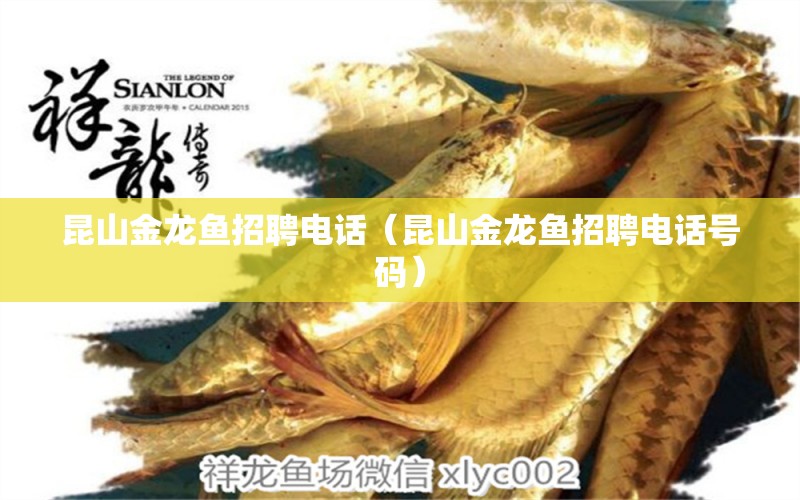 昆山金龍魚(yú)招聘電話(huà)（昆山金龍魚(yú)招聘電話(huà)號(hào)碼）