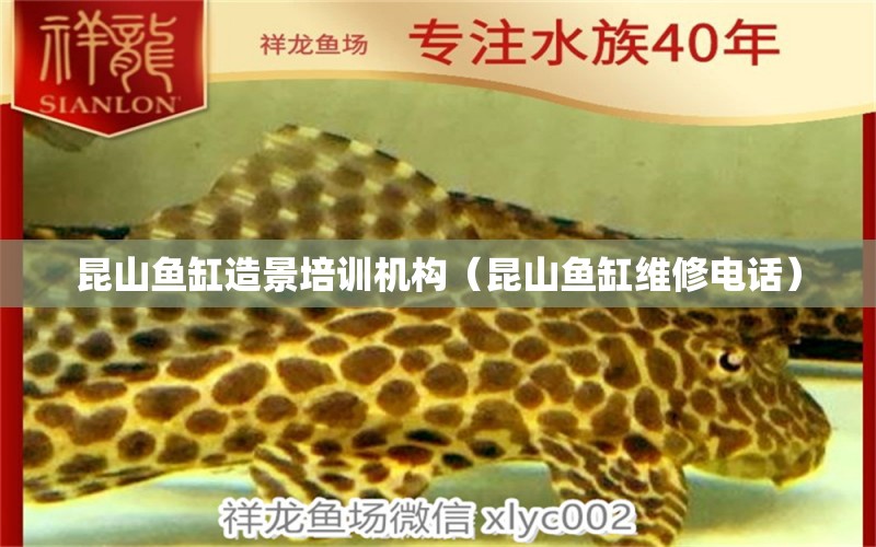 昆山魚(yú)缸造景培訓(xùn)機(jī)構(gòu)（昆山魚(yú)缸維修電話）