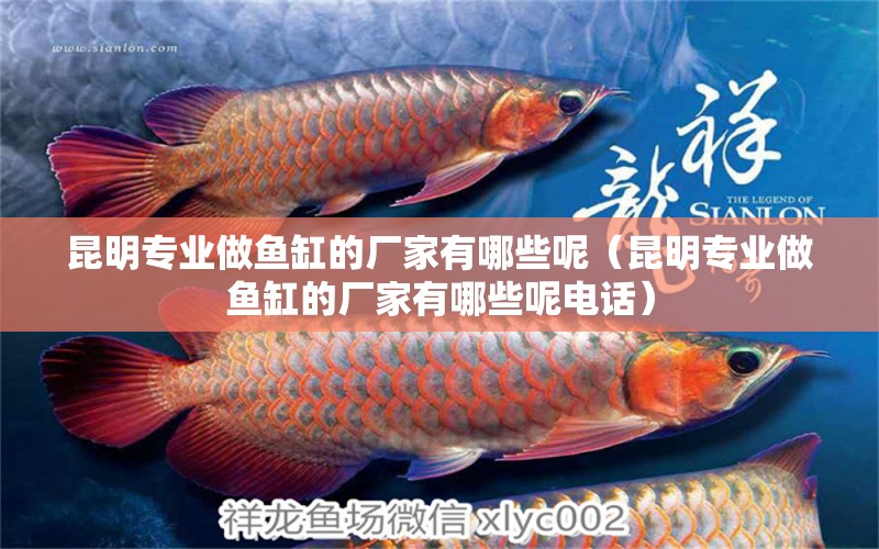 昆明專業(yè)做魚缸的廠家有哪些呢（昆明專業(yè)做魚缸的廠家有哪些呢電話）