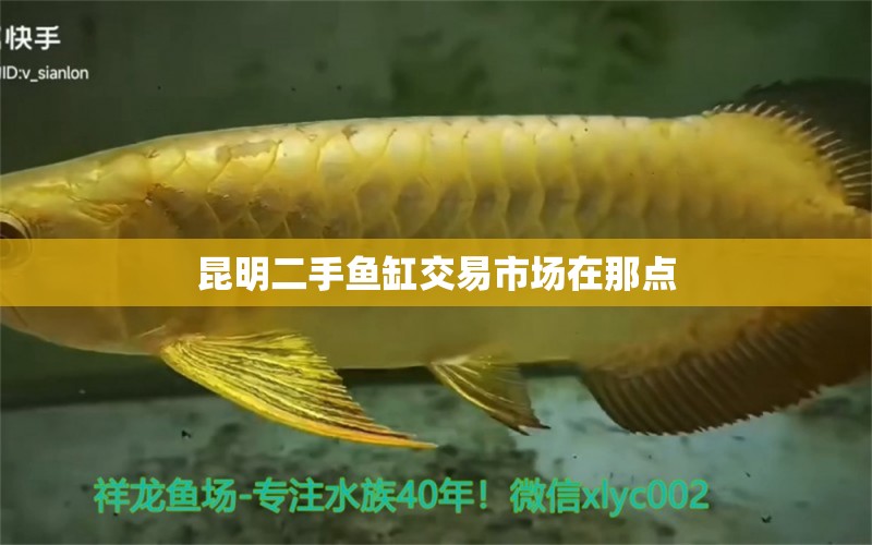 昆明二手魚缸交易市場在那點