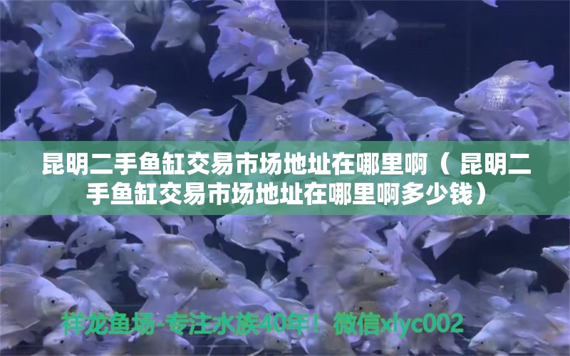 昆明二手魚(yú)缸交易市場(chǎng)地址在哪里?。?昆明二手魚(yú)缸交易市場(chǎng)地址在哪里啊多少錢(qián)） 水溫計(jì) 第1張