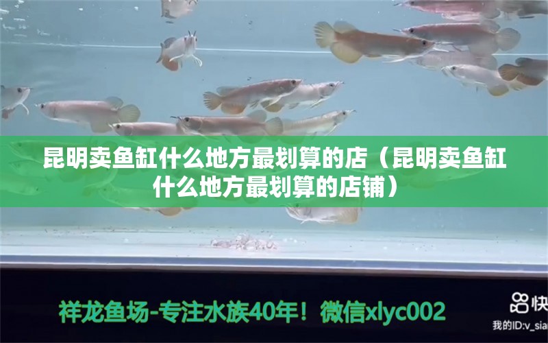 昆明賣魚缸什么地方最劃算的店（昆明賣魚缸什么地方最劃算的店鋪）