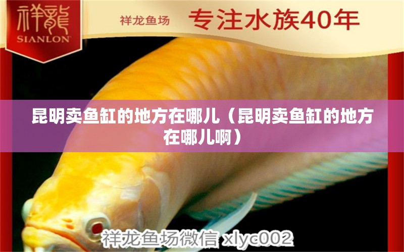 昆明賣魚(yú)缸的地方在哪兒（昆明賣魚(yú)缸的地方在哪兒?。? title=