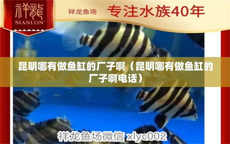 昆明哪有做魚缸的廠子啊（昆明哪有做魚缸的廠子啊電話）