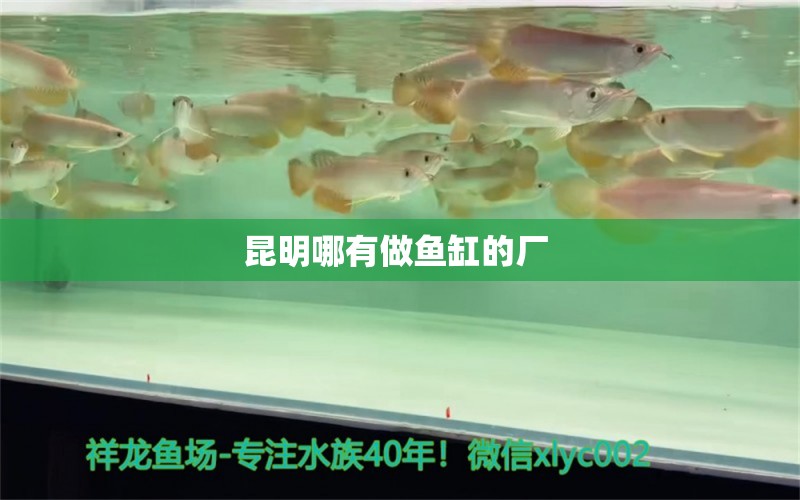 昆明哪有做魚缸的廠 