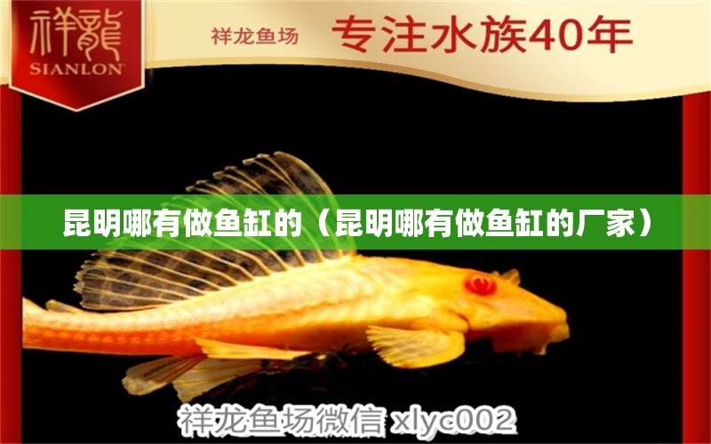 昆明哪有做魚缸的（昆明哪有做魚缸的廠家）