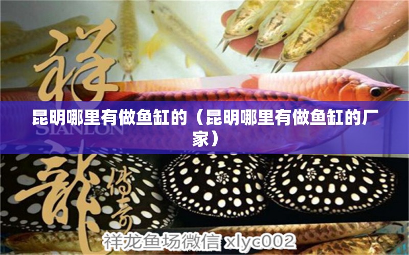 昆明哪里有做魚(yú)缸的（昆明哪里有做魚(yú)缸的廠家） 其他品牌魚(yú)缸