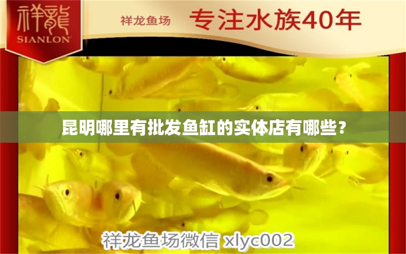 昆明哪里有批發(fā)魚缸的實體店有哪些？