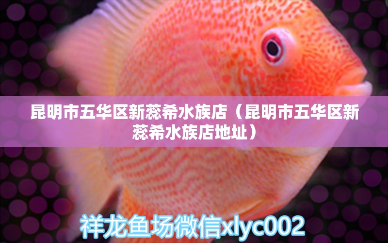 昆明市五華區(qū)新蕊希水族店（昆明市五華區(qū)新蕊希水族店地址）