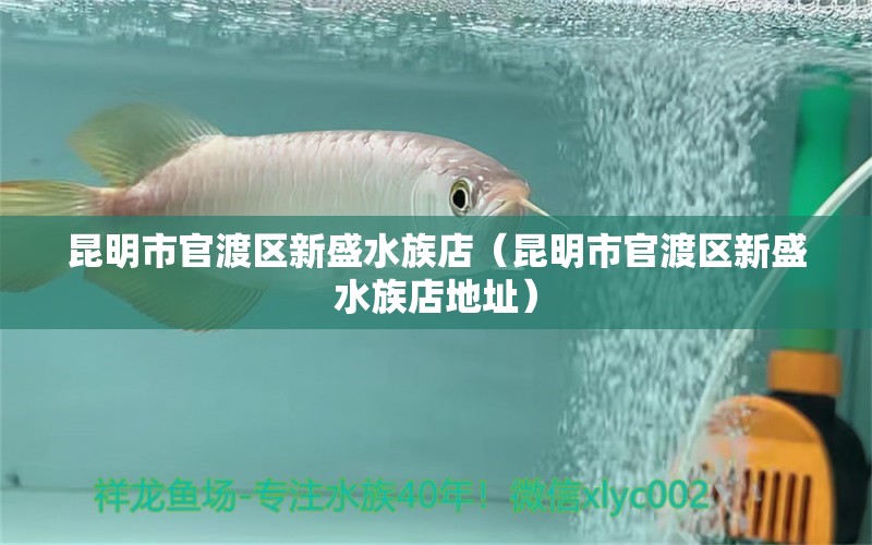 昆明市官渡區(qū)新盛水族店（昆明市官渡區(qū)新盛水族店地址） 全國水族館企業(yè)名錄