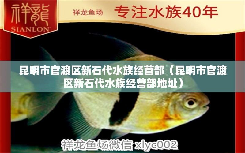 昆明市官渡區(qū)新石代水族經(jīng)營部（昆明市官渡區(qū)新石代水族經(jīng)營部地址）