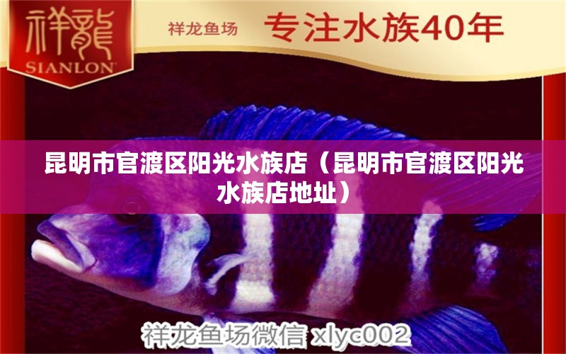 昆明市官渡區(qū)陽光水族店（昆明市官渡區(qū)陽光水族店地址） 全國水族館企業(yè)名錄